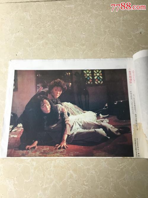 垃圾收集运输服务许可证怎么办